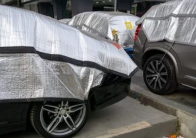 cerada protiv tuče